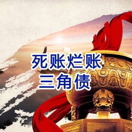 毛嘴镇要债公司